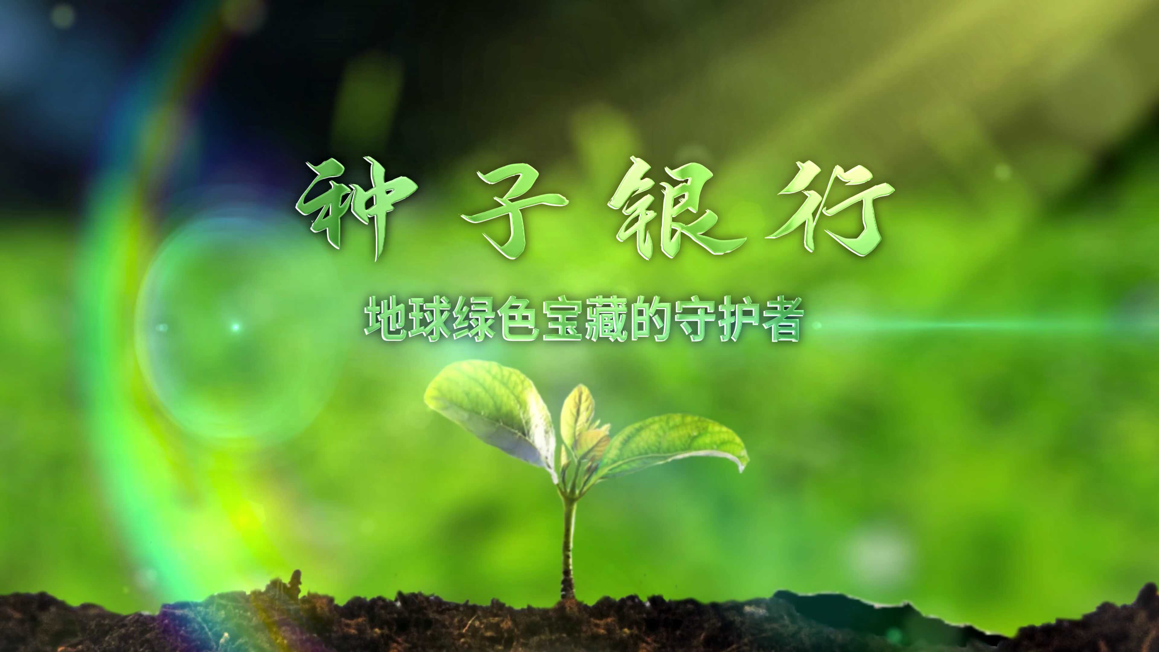 种子银行——地球绿色宝藏的守护者