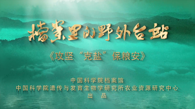 攻坚“克盐”保粮安